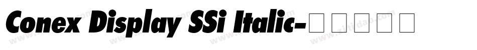 Conex Display SSi Italic字体转换